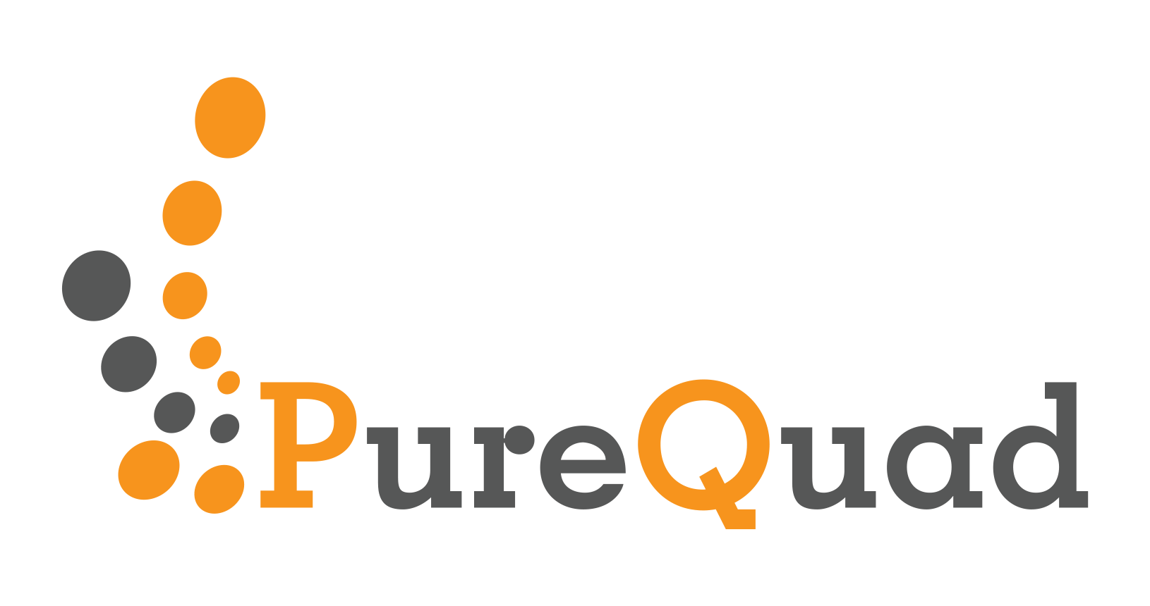 Nerdvana 2.0 Sponsor - PureQuad